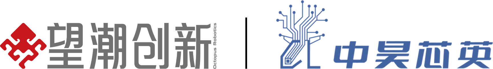 望潮创新 & 中昊芯英